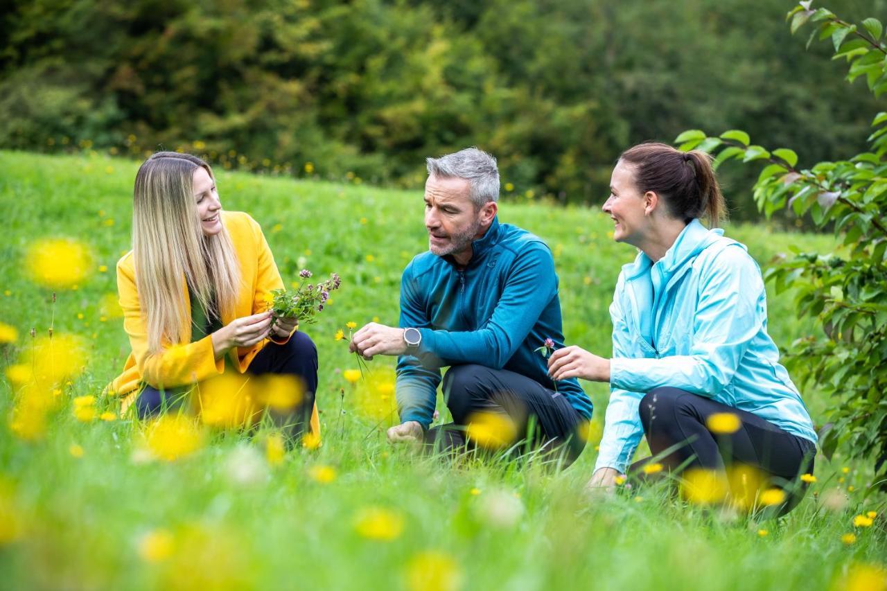 Kleinzell Gesundheits- & Wellnessresort Salzerbad מראה חיצוני תמונה